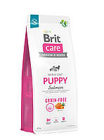 Brit Care Dog Grain-free Puppy сухой корм для щенков беззерновой с лососем 12кг