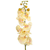 Орхидея, кремовая 90 см, силикон