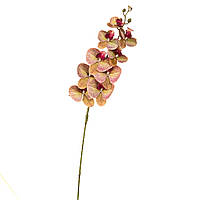 Орхидея, желто-розовая 106 см, силикон