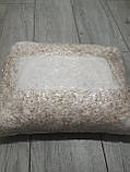 Міцелій Гливи зерновий К 17 упаковка 6 кг, фото 2