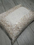Міцелій Гливи ( Глива) зерновий 6 кг, фото 2
