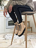 Жіночі черевики Dr. Martens Jadon Beige Lacquer ALL04577, фото 9