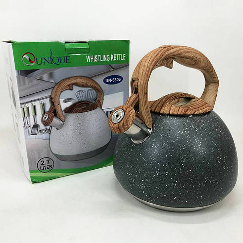 Обычный чайник на газовую плиту Unique UN-5306 2,7л, Чайник из ...