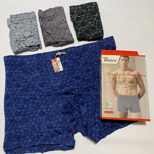 Трусы мужские Indena бамбук на вшитой резинке (ID#2140151629), цена ...