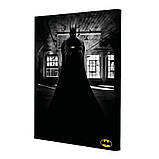 Набір постерів Riviera Blanca The Batman (PS-175) 3 шт в наборі, фото 2