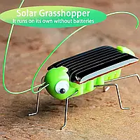 Игрушечный кузнечик на солнечной батарее, зеленый
