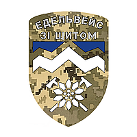 Шеврон 10 отдельная горно-штурмовая бригада Эдельвейс (10 ОГШБр) Шевроны на заказ на липучке ВСУ (AN-12-561-3)
