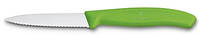 Нож кухонный Victorinox SwissClassic, 8 см, серрейтор, зеленый
