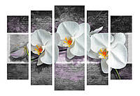 Модульная картина Декор Карпаты 120х80 см Белые орхидеи (M5-454) K[, код: 184195