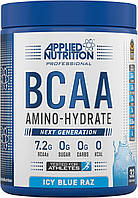 BCAA Powder Amino Hydrate (450g - 32 Servings) (ICY Blue Raz)