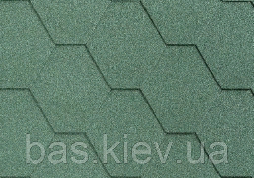Бітумна черепиця Izohan Nexler 800 (ETA) Trapeze зелена 285х800 мм (уп. 3 м.кв)