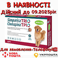 Simparica Trio Симпарика Трио 20-40 кг таблетки для собак от блох, клещей и гельминтов