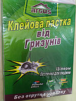 Липучка від гризунів велика / картон 16*21см