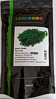 Насіння кропу Анет, 250 гр., кущового, Leda