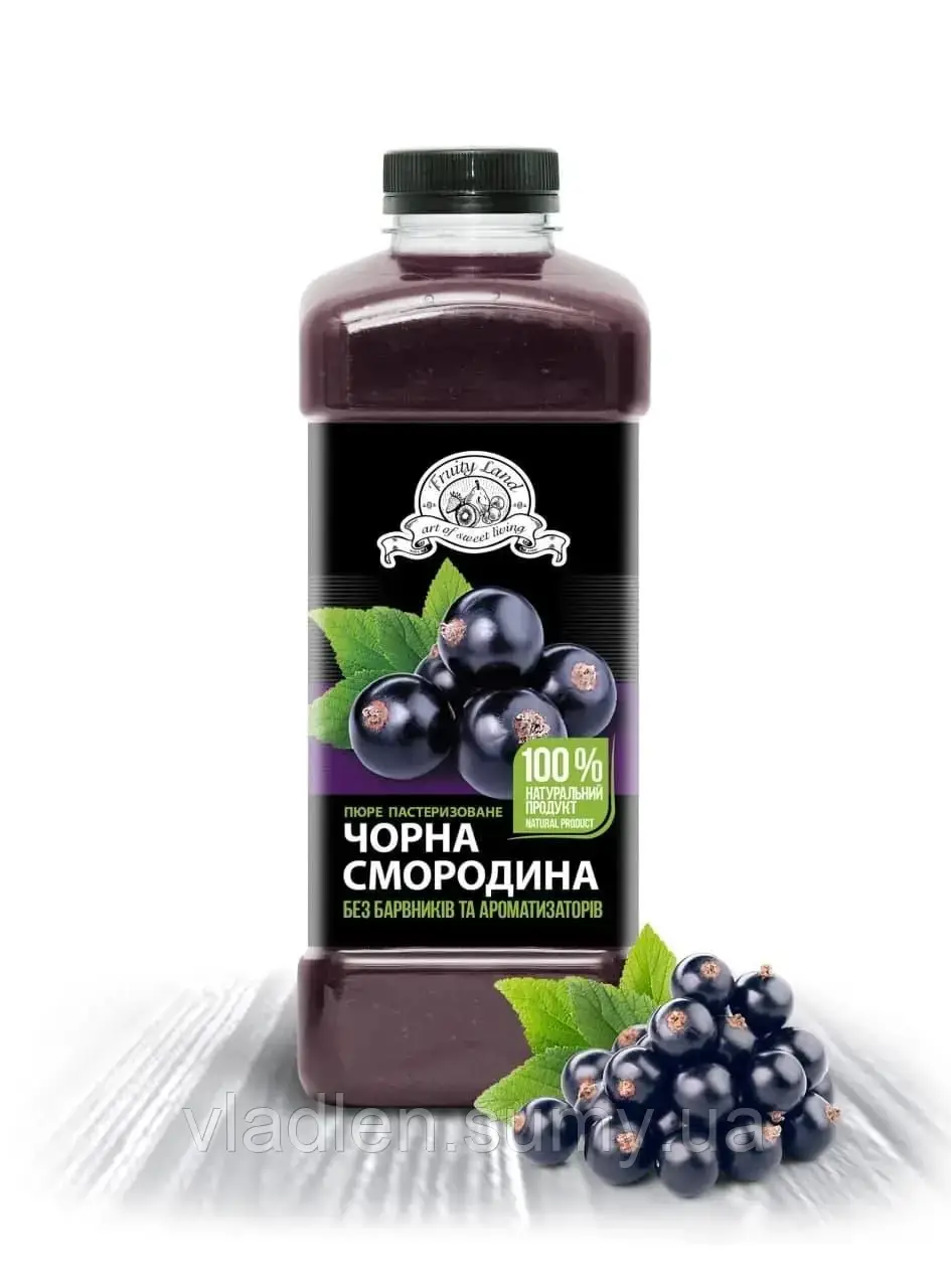 Смородина чорна пюре Fruity Land пастеризоване,1кг