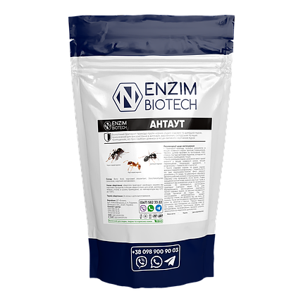 АнтАут, фото 1