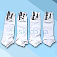 Білі короткі чоловічі бавовняні шкарпетки розмір 29-31 (43-46), фото 3