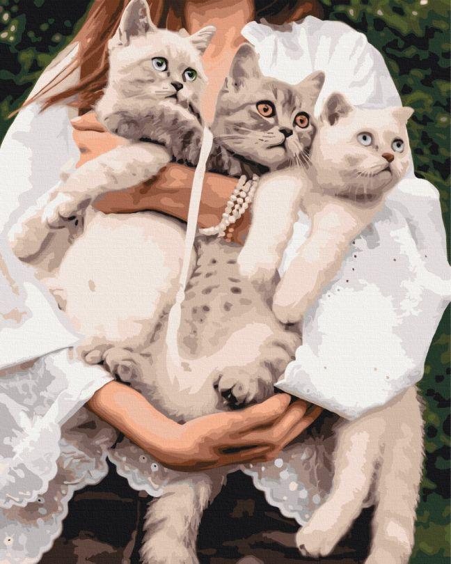 Акційна Картина за номерами BrushMe Улюблені муркотики (BS52508) 40 х 50 см