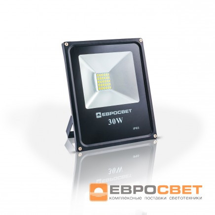 Прожектор EVRO LIGHT EV-30-01 6400 K 2400 Lm SMD