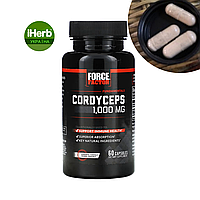 Force Factor, Cordyceps, Кордицепс, 500 мг, 60 капсул