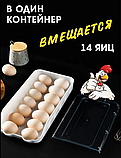 Контейнер полиця лоток лоток підставка для яєць EGG TRAY LY-382, Підставка для яєць, Органайзер для яєць універсальний, фото 6