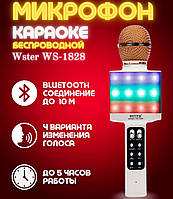 Мікрофон DM Karaoke WS 1828 Бездротовий з функцією зміни голосу, слотом для карти пам'яті та динаміком