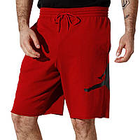 Шорти Jordan Jumpman Logo Shorts DB1812-687