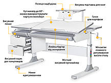 Дитяча зростаюча шкільна парта стіл для уроків і навчання вдома | Mealux Hamilton Lite G c полицею, фото 3