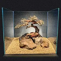 Украшения для аквариума декор Amtra - Східний вітер дерево 30х10х20СМ