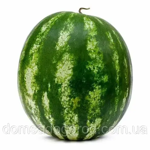 Кавун ЛАНКАСТЕР F1 LibraSeeds 1000 насінин