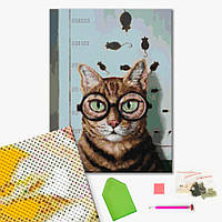 Алмазная мозаика "Проверка зрения котика © Lucia Heffernan", "DBS1219", 40x50 см