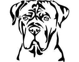 Корм для собак