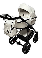 Коляска 2 в 1 Baby Pram Berta eco