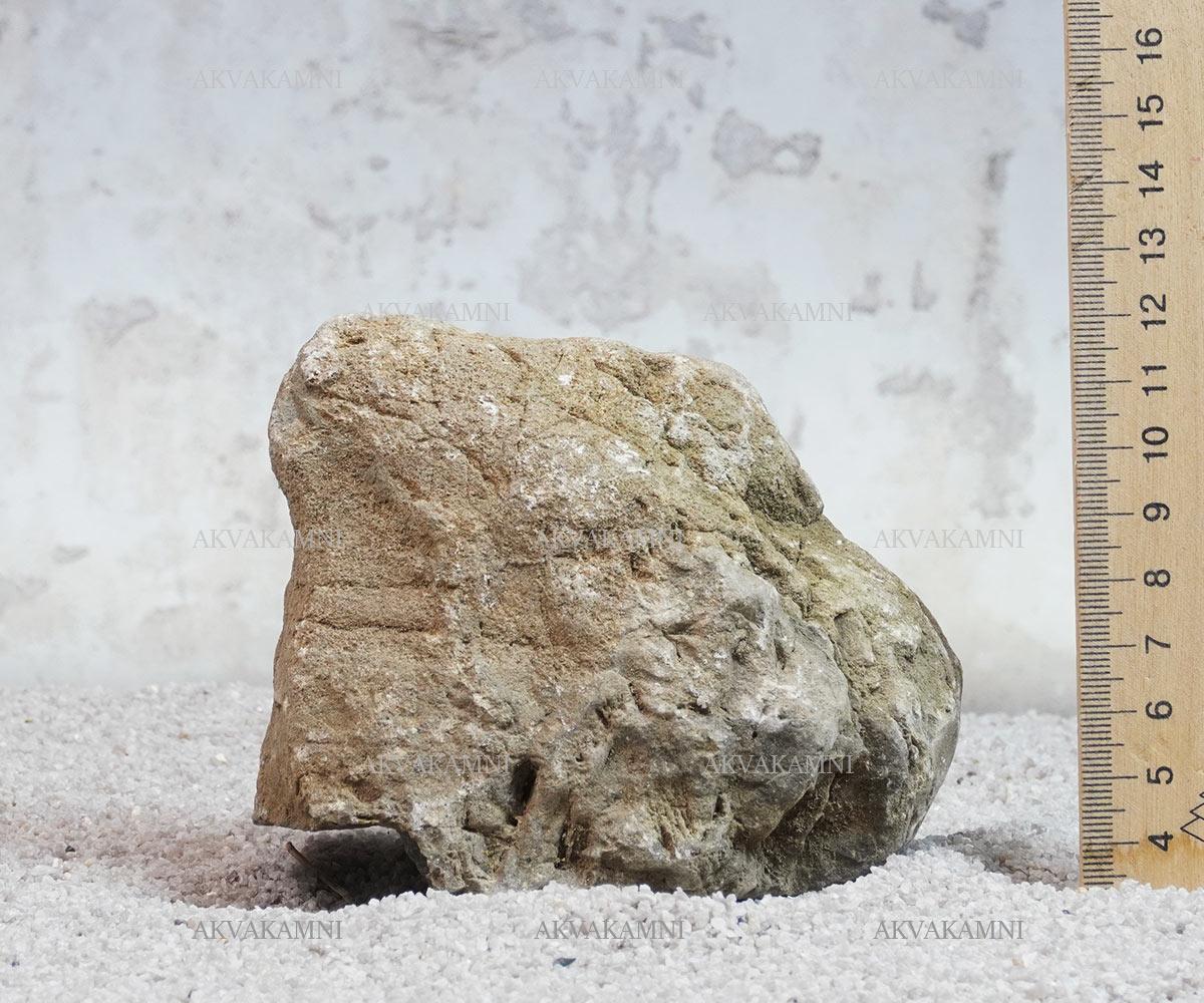 Карпатский камень 51 (~1kg) (ID#2141067785), цена: 65 ₴, купить на Prom.ua