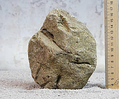 Карпатський камінь 56 (1.4kg)
