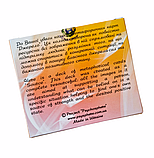 Метафоричні карти "Джерело". Юлія Демидова, фото 9