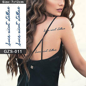 Juice Флеш тату. 12*7 см. Тимчасова, перекладна.