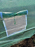 Теплиця 18 м² 600 х 300 см зелений, фото 8