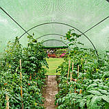 Теплиця 18 м² 600 х 300 см зелений, фото 9