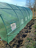 Теплиця 18 м² 600 х 300 см зелений, фото 10