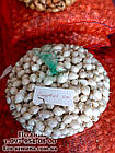 Цибуля-сівок весняний СноуБолл (Snowball), Голландія, 0,5 кг, фото 2