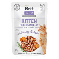 Влажный корм Brit Care Cat Pouch для котят, в желе, пикантный лосось, 85 г LE 157660-99