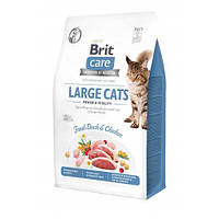 Сухой корм Brit Care Cat GF Large Power & Vitality для кошек больших пород, утка и курица, 400 г LE 156529-99