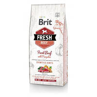 Сухой корм Brit Fresh для щенков и молодых собак больших пород, с говядиной и тыквой, 12 кг LE 132815-99