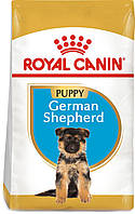 Сухий повнорационный корм для щенят Royal Canin German Shepherd Puppy собак породи німецька вівчарка віком до 15 місяців 12 кг