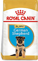 Сухой полнорационный корм для щенков Royal Canin German Shepherd Puppy собак породы немецкая овчарка в