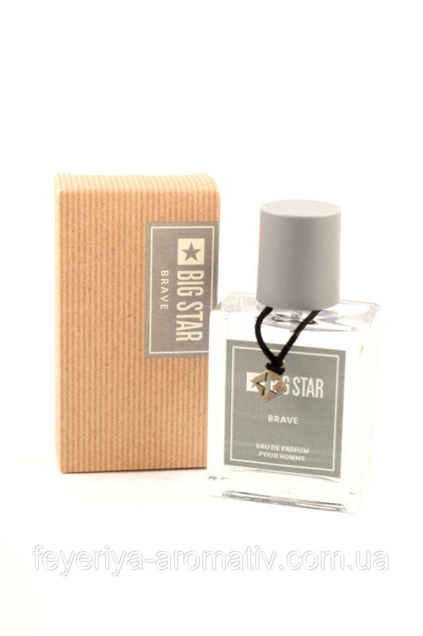 Парфумована вода для чоловіків Big Star Brave 50 мл Польща, фото 1
