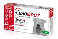 Селафорт спот-он, 120 мг/1 мл, для собак 10,1 - 20 кг, 1 піпетка