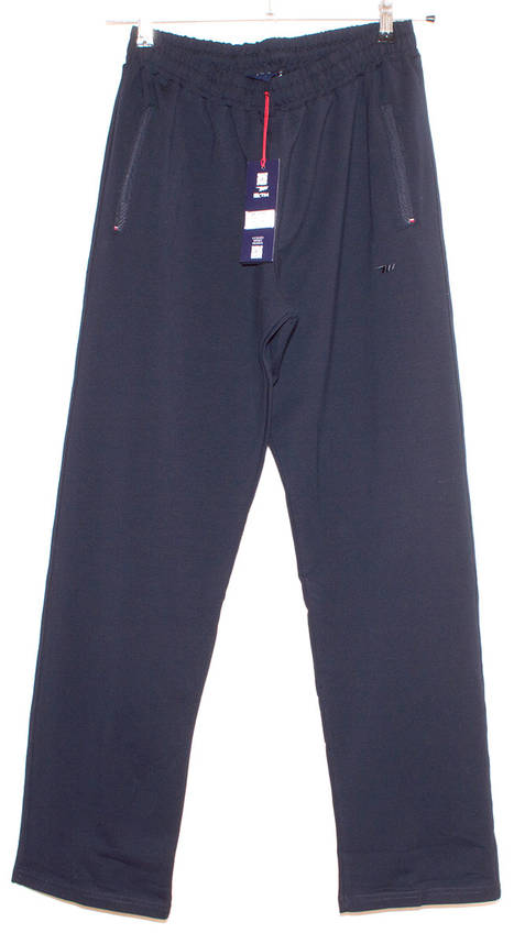 Чоловічі спортивні штани сині  Avic/Mxtim (L,XL,XXL,3XL)178, фото 2