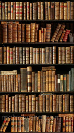 Фотошлях Chameleon Книжні полиці 100х100 см, фото 1